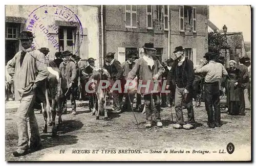 Ansichtskarte AK Folklore Scenes de marche en Bretagne Vache