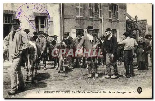 Cartes postales Folklore Scenes de marche en Bretagne Vache