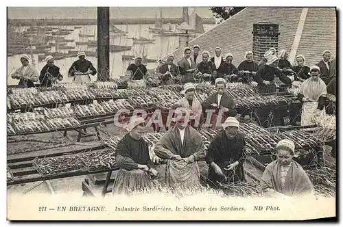 Cartes postales Folklore Bretagne Industrie sardiniere bretonne Le sechage des sardines