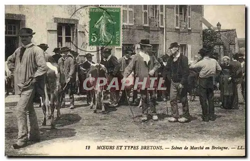 Ansichtskarte AK Folklore Bretagne Scene de marche en Bretagne Vaches TOP