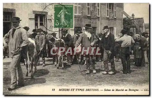 Cartes postales Folklore Bretagne Scene de marche en Bretagne Vaches TOP
