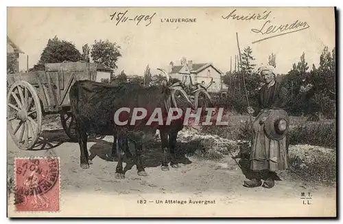 Cartes postales Attelage Auvergnat Auvergne Boeufs
