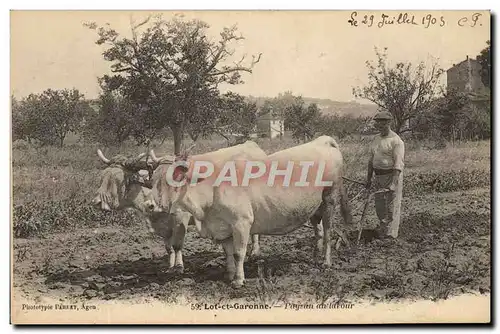 Cartes postales Attelage Lot et Garonne Paysan du labour