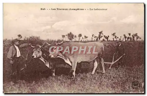 Cartes postales Attelage Les travaux champetres Le laboureur