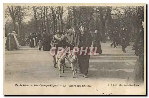 Cartes postales Chevre Paris Champs Elysees Les voitures aux chevres TOP