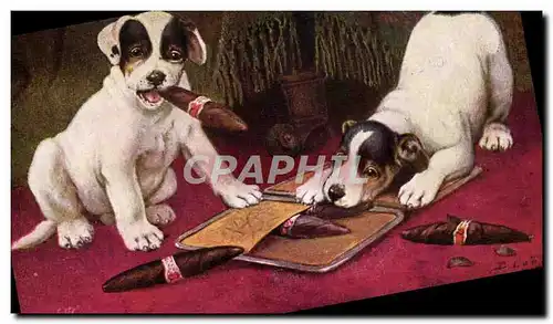 Cartes postales Fantaisie Tabac Chien Cigare