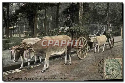 Cartes postales Attelage Centre de la France Retour aux champs Boeufs