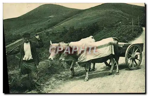 Ansichtskarte AK Attelage basque Boeufs