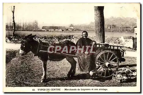 Cartes postales Attelage Type du Centre Marchande de legumes et son attelage Ane Mule