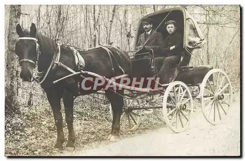 CARTE PHOTO Attelage Cheval