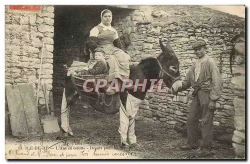 Cartes postales Ane Mule Ile de Re L&#39ane en culotte Depart pour les champs TOP