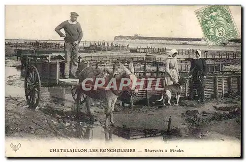 Cartes postales Ane Mule Chatelaillon les Boncholeurs Reservoirs moules Ostreiculture