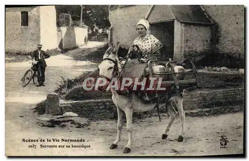 Ansichtskarte AK Ane Mule Normandie Servante sur sa bourrique