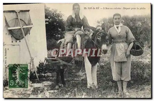 Cartes postales Ane Mule Ile de Re L'ane en culottes Depart pour la peche