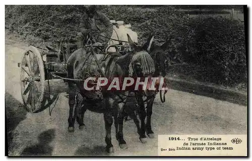 Cartes postales Ane Mule Type d'attelage de l'armee indienne Militaria
