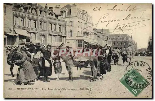 Cartes postales Ane Mule Berck Plage Les anes dans l'entonnoir