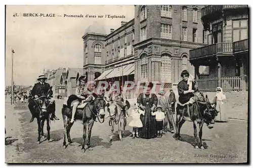 Cartes postales Ane Mule Berck Plage Promenade d&#39anes sur l&#39esplanade