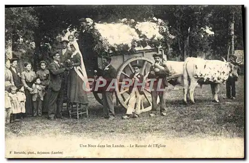 Cartes postales Attelage Une noce dans les Landes Le retour de l&#39eglise Boeufs Mariage