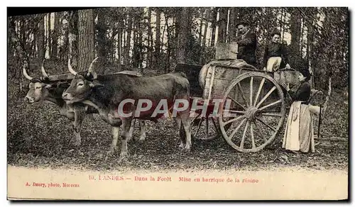 Ansichtskarte AK Attelage Landes Dans la foret Mise en barrique de la resine TOP