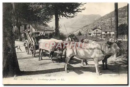 Ansichtskarte AK Attelage Lourdes Un attelage paysan Boaufs