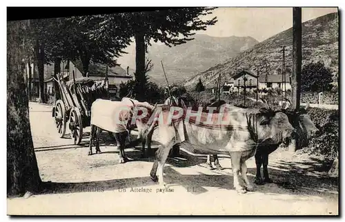 Ansichtskarte AK Attelage Lourdes Un attelage paysan Boaufs