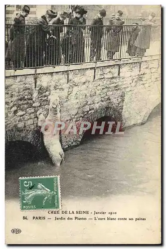 Cartes postales Ours Crue de la Seine Janvier 1910 Paris Jardin des plantes L&#39ours blanc
