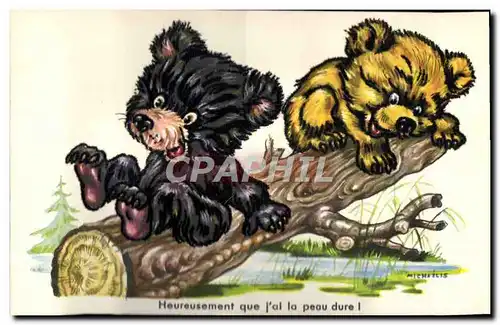 Cartes postales Ours Heureusement que tu as la peau dure