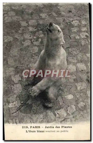 Cartes postales Ours Paris Jardin des plantes L&#39ours blanc souriant au public