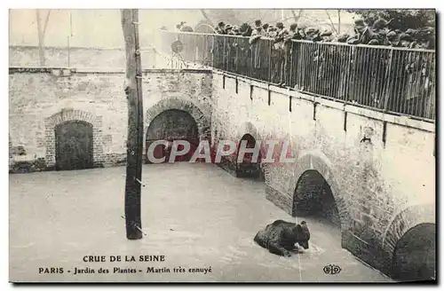 Ansichtskarte AK Ours Paris Crue de la Seine Martin tres ennuye