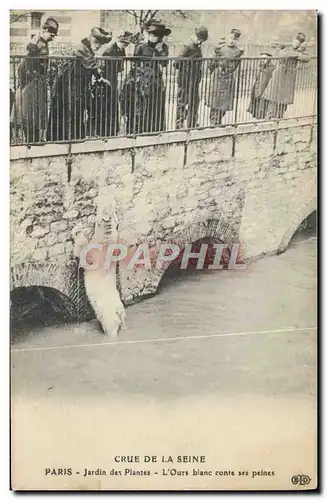 Ansichtskarte AK Ours Paris Crue de la Seine Jardin des plantes L&#39ours blanc conte ses peines