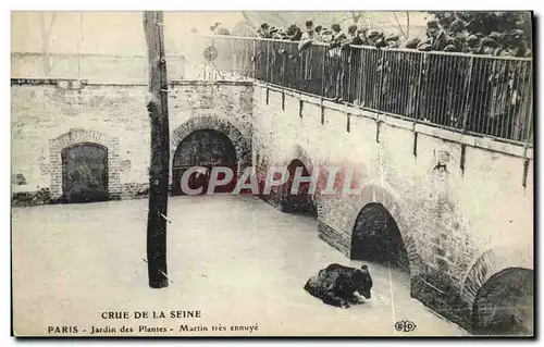 Ansichtskarte AK Ours Paris Crue de la Seine Jardin des plantes Martin tres ennuye