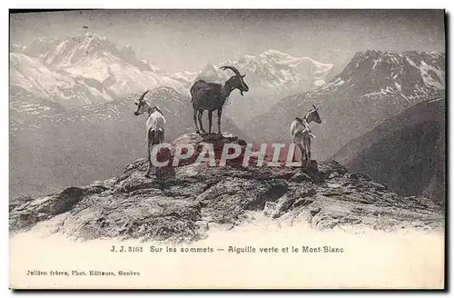 Cartes postales Chevre Sur les sommets Aiguille vert et Mont Blanc