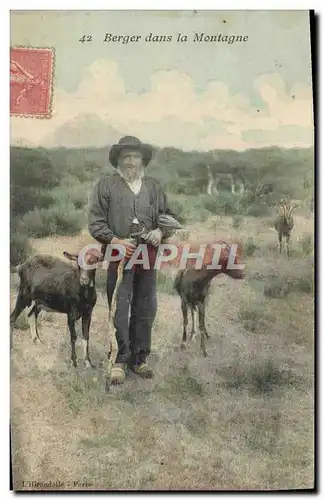 Ansichtskarte AK Chevre Berger dans la montagne