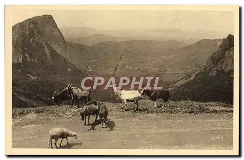 Ansichtskarte AK Chevre Environs du Mont Dore Vallee de la Sioule et les Roches Sanadoire et Tuiliere