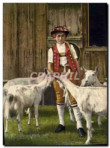 Cartes postales Chevre Gardeur de chevres Suisse