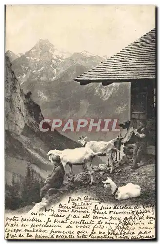 Ansichtskarte AK Chevre Sur l&#39Alpe Chevres Suisse