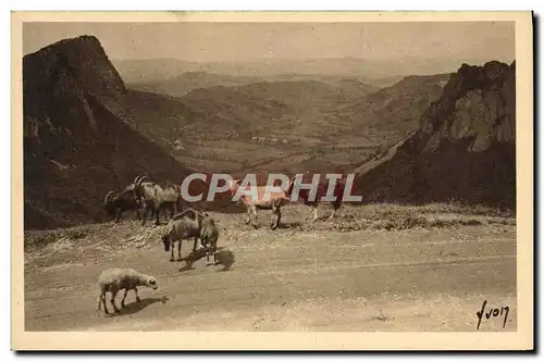 Ansichtskarte AK Chevre Environs du Mont Dore Vallee de la Sioule et les roches Sanadoire et Tuiliere