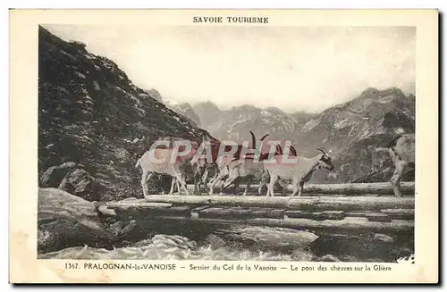 Ansichtskarte AK Chevre Savoie Pralognan la Vanoise Sentier du col de la Vanoise Le pont des chevres sur la Glier
