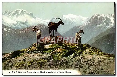 Cartes postales Chevre Sur les sommets Aiguille verte et le Mont Blanc