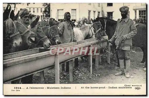 Ansichtskarte AK Ane Mule A l&#39abreuvoir Muletiers indiens Militaria