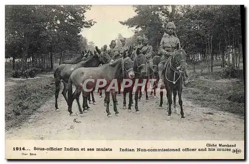 Ansichtskarte AK Ane Mule Sous officier et ses mulets Militaria