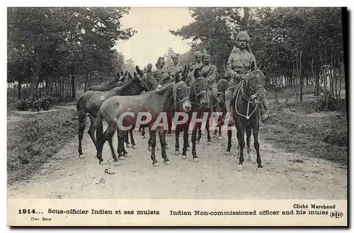 Cartes postales Ane Mule Sous officier et ses mulets Militaria