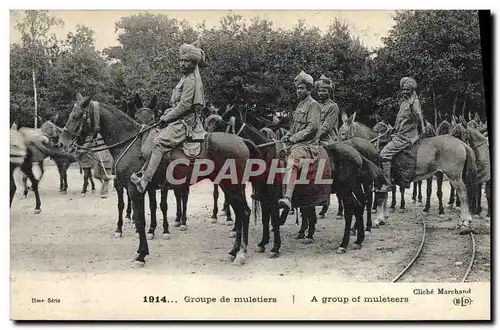 Ansichtskarte AK Ane Mule Groupe de muletiers Militaria