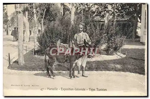 Cartes postales Ane Mule Marseille Exposition coloniale Type tunisien