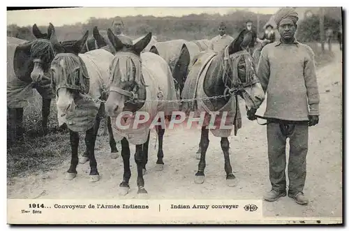 Ansichtskarte AK Ane Mule Convoyeur de l&#39armee indienne Militaria