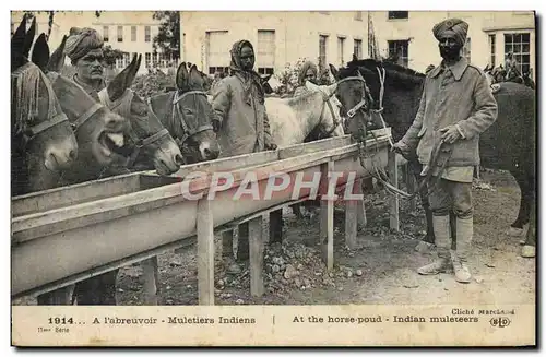 Ansichtskarte AK Ane Mule A l&#39abreuvoir Muletiers indiens Militaria