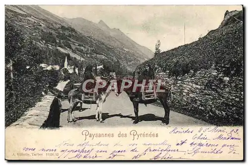 Cartes postales Ane Mule Paysannes des Pyrenees