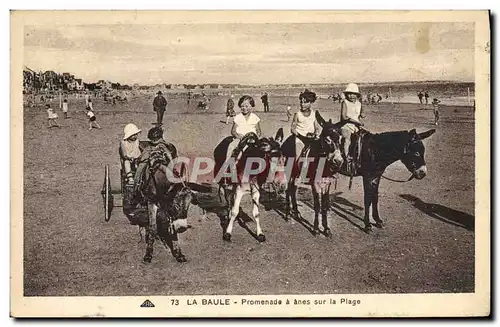 Cartes postales Ane Mule La Baule Promenade a anes sur la plage