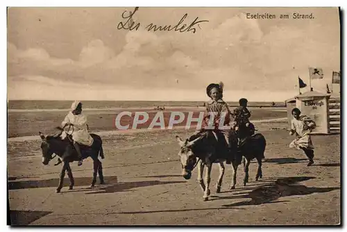 Cartes postales Ane Mule Eselretien am Strand