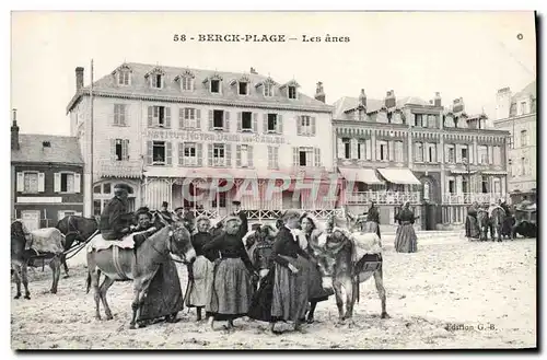 Cartes postales Ane Mule Berck Plage Les anes